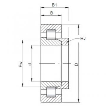 ISO NH221 cylindrical roller bearings