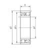 NACHI NN3014 cylindrical roller bearings #2 small image