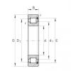 INA SL181888-E cylindrical roller bearings #2 small image