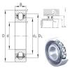 INA BXRE202 needle roller bearings