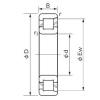 NACHI NF 1017 cylindrical roller bearings #2 small image