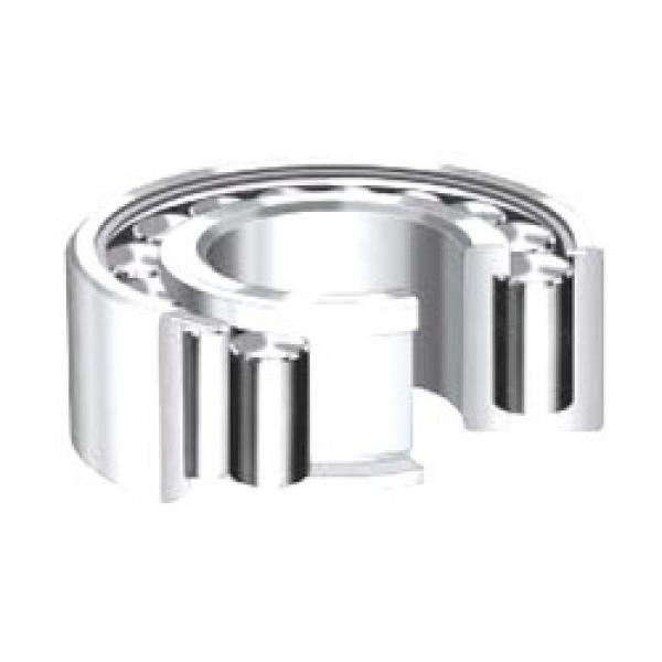 Timken NCF18/710V cylindrical roller bearings #2 image