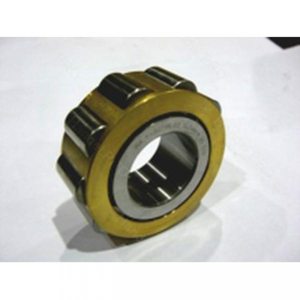 FAG F-202987.1 cylindrical roller bearings #3 image