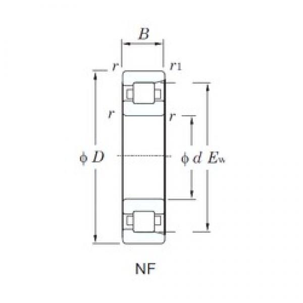 KOYO NF224 cylindrical roller bearings #3 image