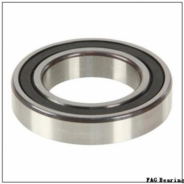FAG NUP203-E-TVP2 cylindrical roller bearings #2 image